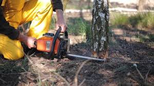 Best Leaf Removal  in Cochran, GA
