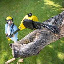 Best Arborist Consultation Services  in Cochran, GA